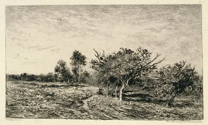 Apfelbäume in Auvers, 1877